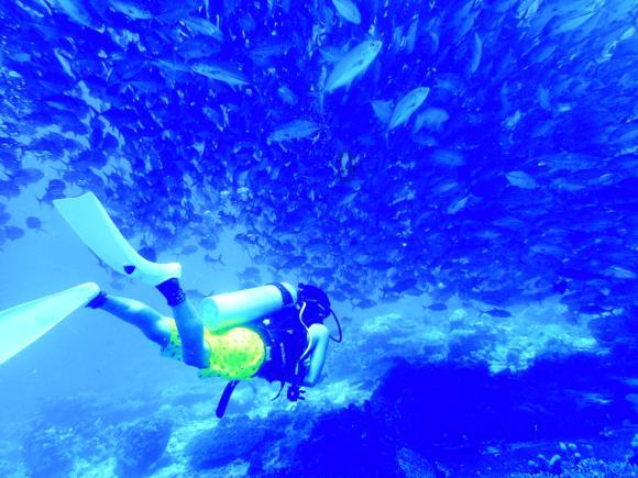 浙江宁波:长期护理保险全域覆盖
