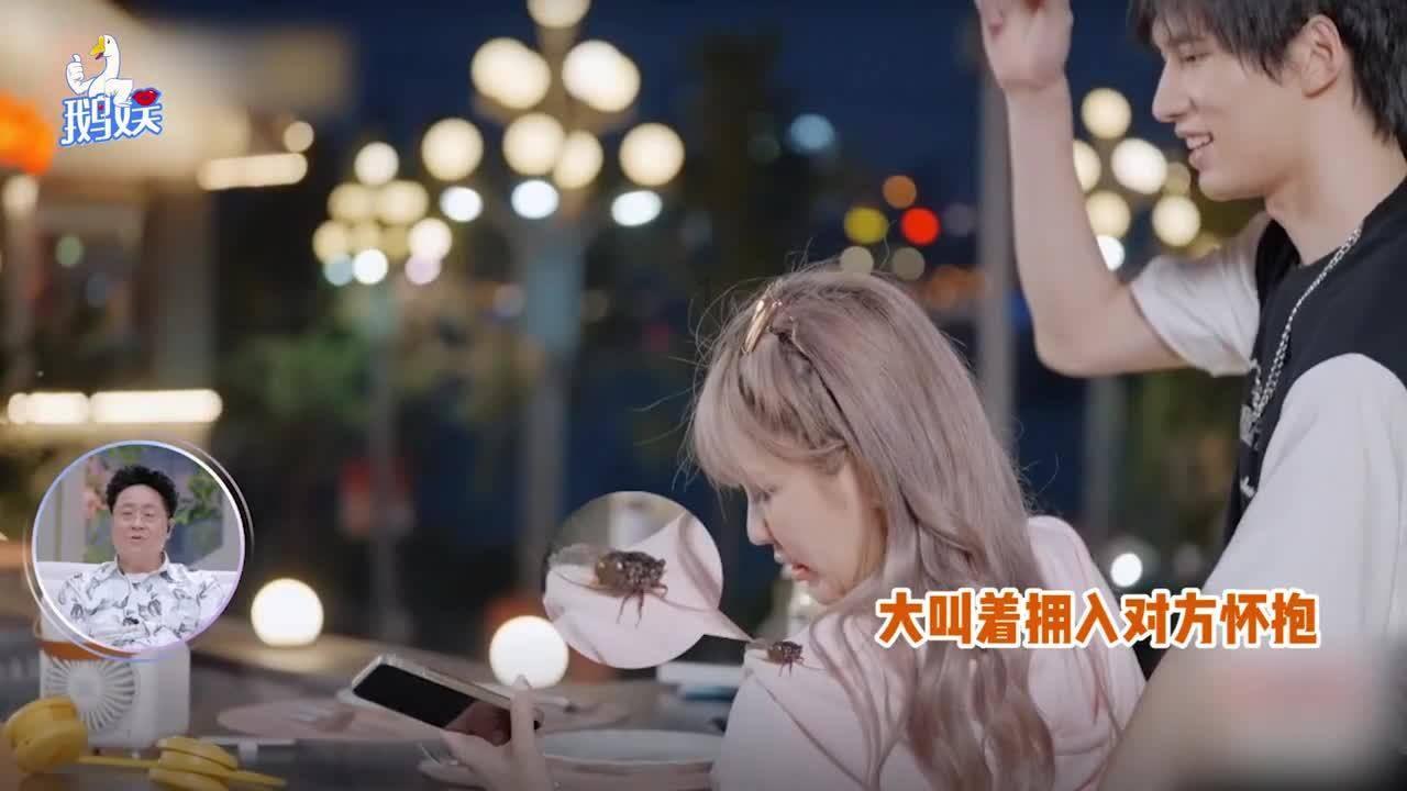 幻兽帕鲁在哪抓 战斗帕鲁地图位置一览