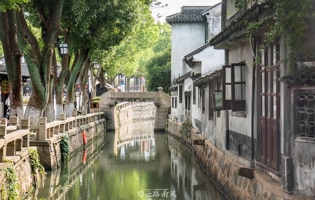 如何制作姜撞奶?-提供实时问答的专业网站